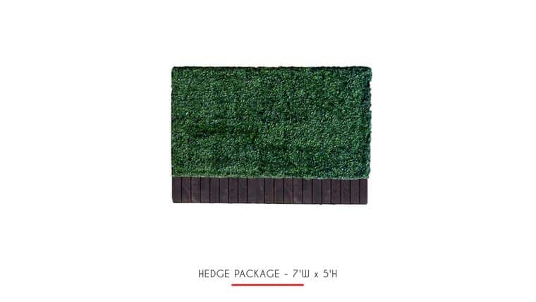 3’h x 5’w Boxwood Hedge | Rental 3’h x 5’w Boxwood Hedge | Rental