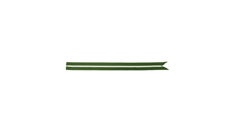 Green Metallic Streamer | Rental