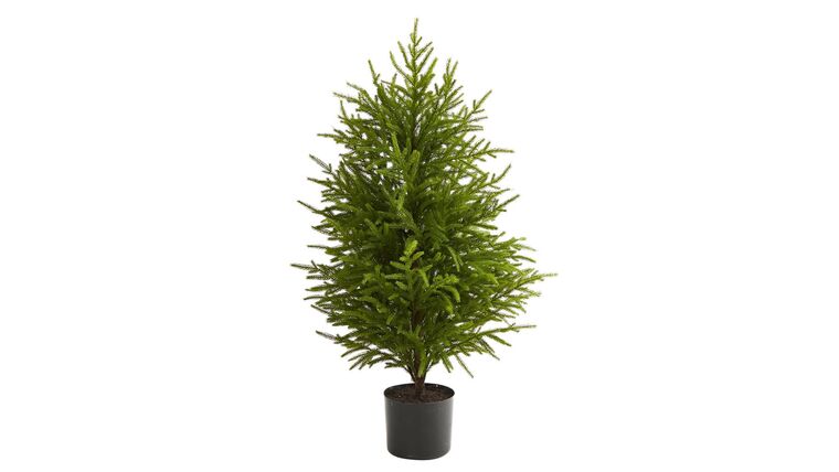 40” Norfolk Island Pine “Natural Look” Artificial Christmas Tree | Rental 40” Norfolk Island Pine “Natural Look” Artificial Christmas Tree | Rental