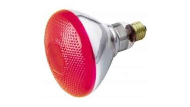 100W – 120V – Incandescent Magenta Reflector Flood Light Bulb | Rental 100W – 120V – Incandescent Magenta Reflector Flood Light Bulb | Rental