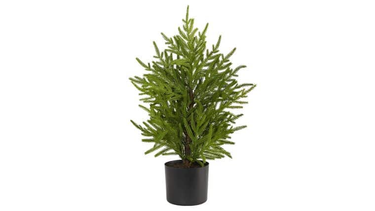 2’ Norfolk Island Pine “Natural Look” Artificial Christmas Tree in Decorative Planter | Rental 2’ Norfolk Island Pine “Natural Look” Artificial Christmas Tree in Decorative Planter | Rental