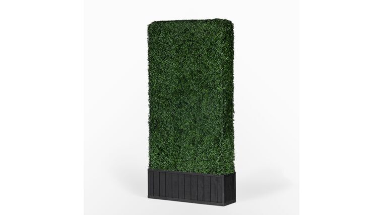 6’h x 4’w Boxwood Hedge With Planter | Rental 6’h x 4’w Boxwood Hedge With Planter | Rental