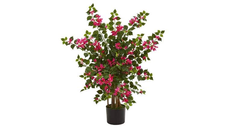 Bougainvillea Artificial Tree | Rental