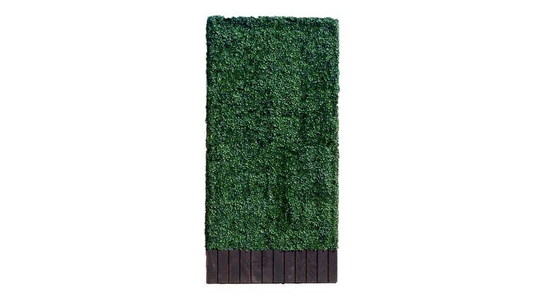 7’h x 4’w Boxwood Hedge With Planter | Rental 7’h x 4’w Boxwood Hedge With Planter | Rental