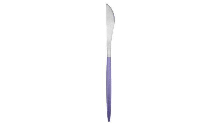 Modern Purple/Silver Matte Dinner Knife | Rental Modern Purple/Silver Matte Dinner Knife | Rental