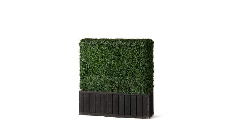 4’h x 4’w Boxwood Hedge With Planter | Rental 4’h x 4’w Boxwood Hedge With Planter | Rental