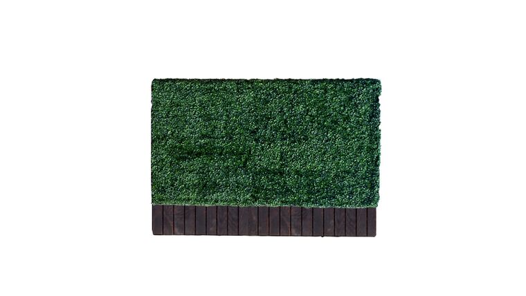3’h x 6’w Boxwood Hedge With Planter | Rental 3’h x 6’w Boxwood Hedge With Planter | Rental
