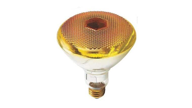 100W – 120V – Incandescent Orange Reflector Flood Light Bulb | Rental 100W – 120V – Incandescent Orange Reflector Flood Light Bulb | Rental