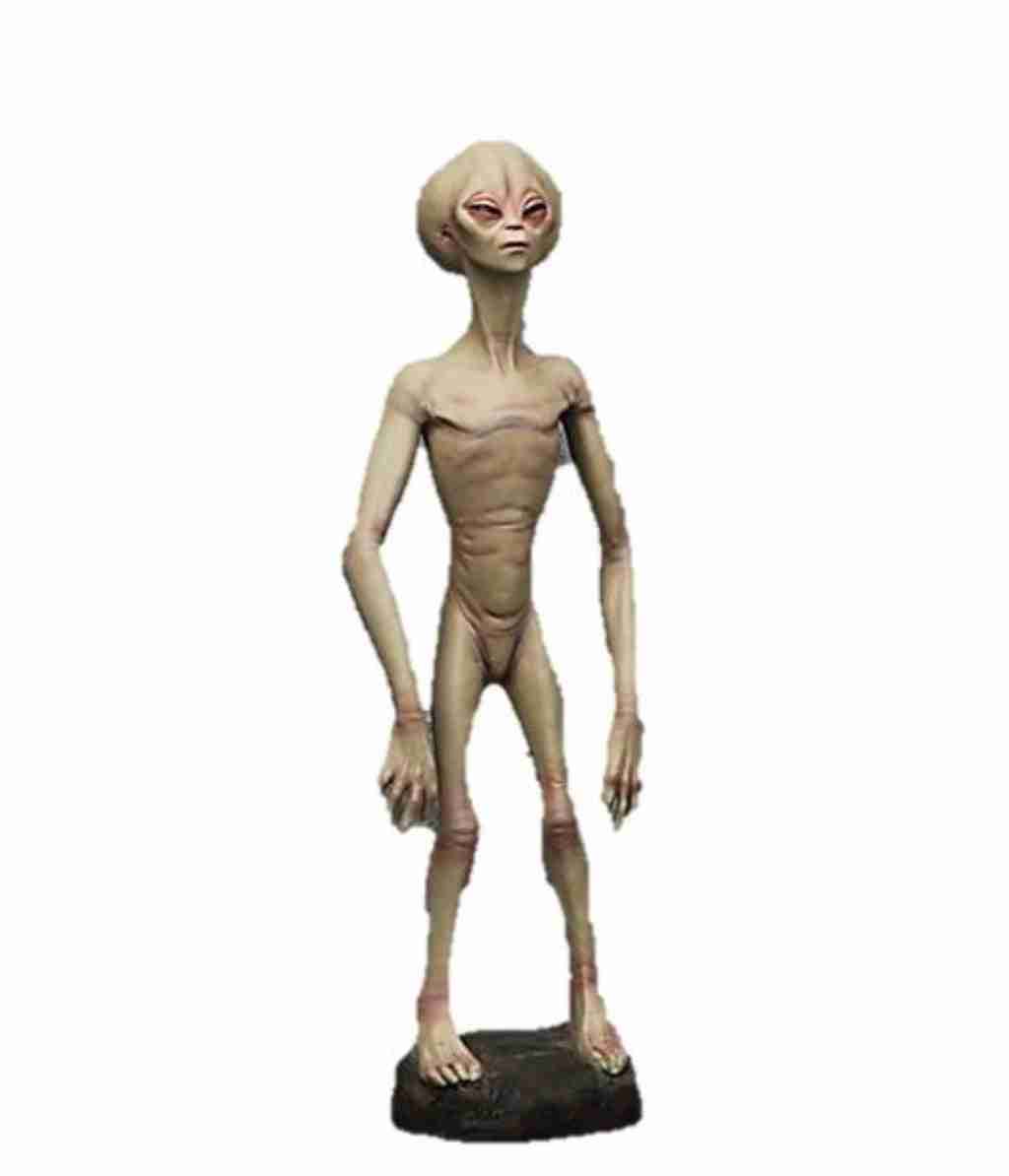 Alien | Rental Alien | Rental