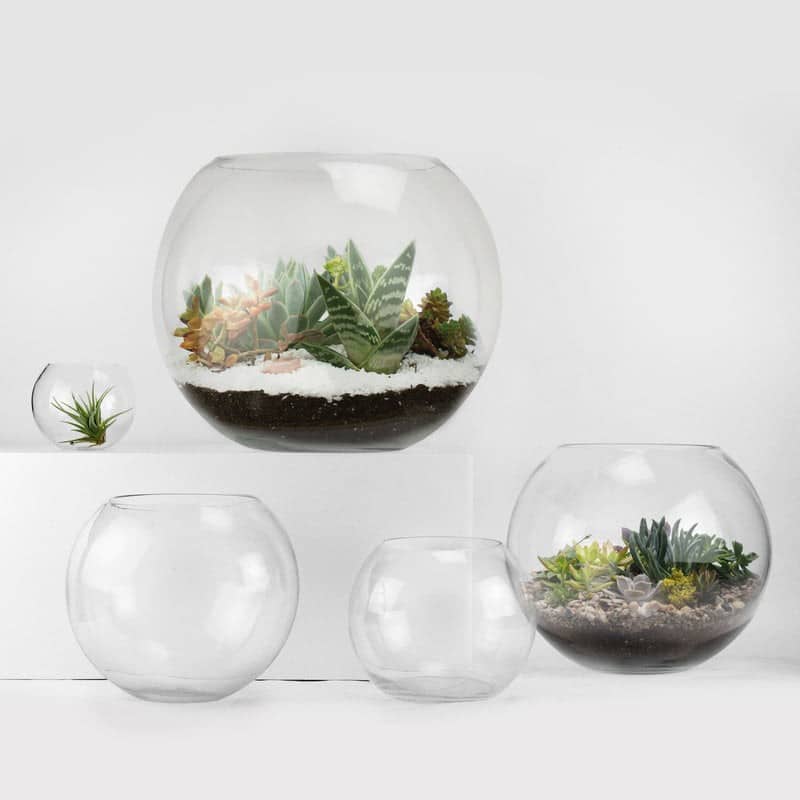 Bubble Bowl | Rental Bubble Bowl | Rental
