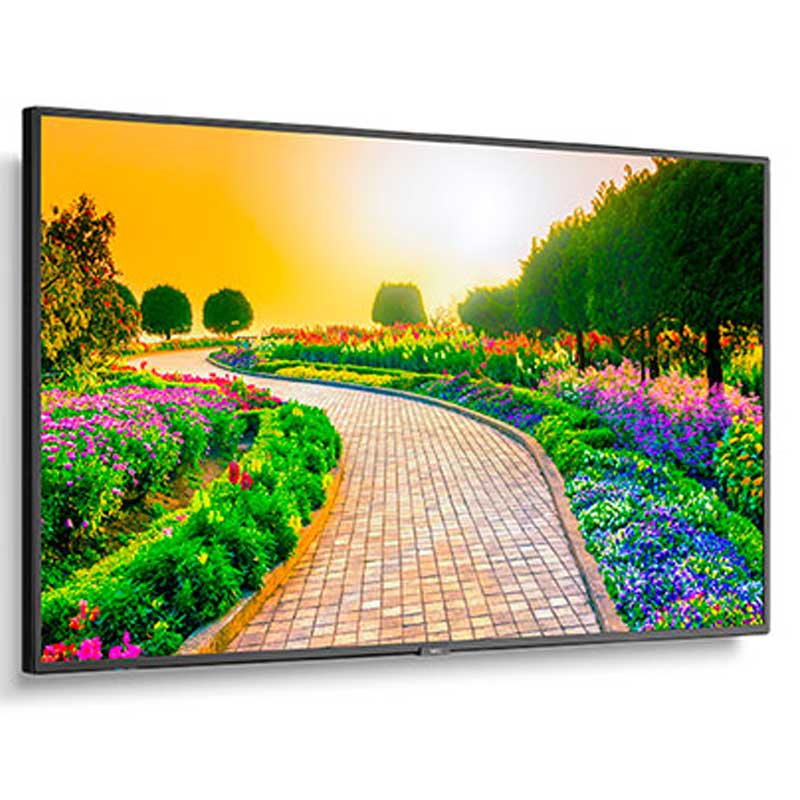 NEC 43″ M431 4K Monitor | Rental NEC 43″ M431 4K Monitor | Rental