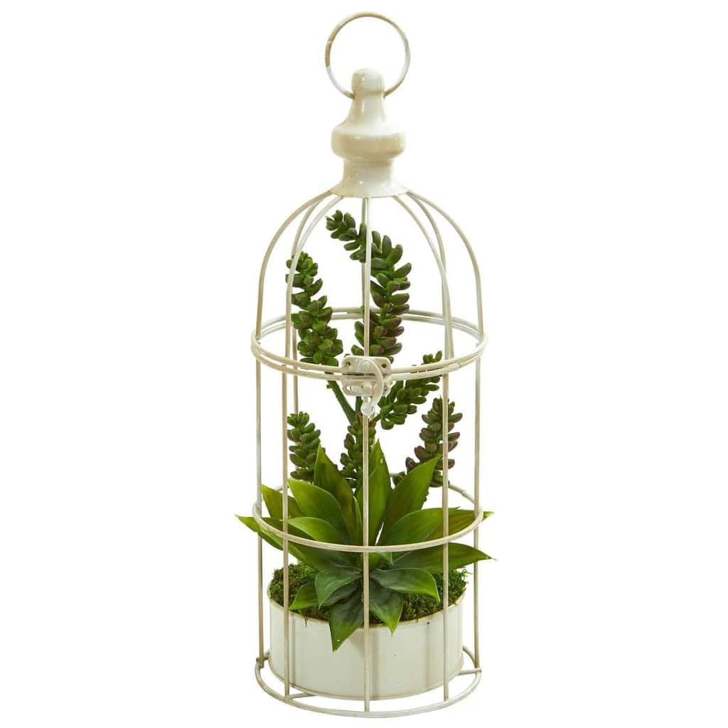 Succulent Garden Artificial Plant in Birdcage | Rental Succulent Garden Artificial Plant in Birdcage | Rental
