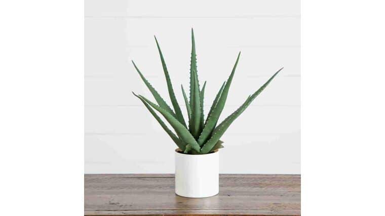 17.5″ Artificial Agave Plant | Rental 17.5″ Artificial Agave Plant | Rental