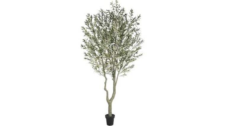 10’ Artificial Olive Tree | Rental 10’ Artificial Olive Tree | Rental