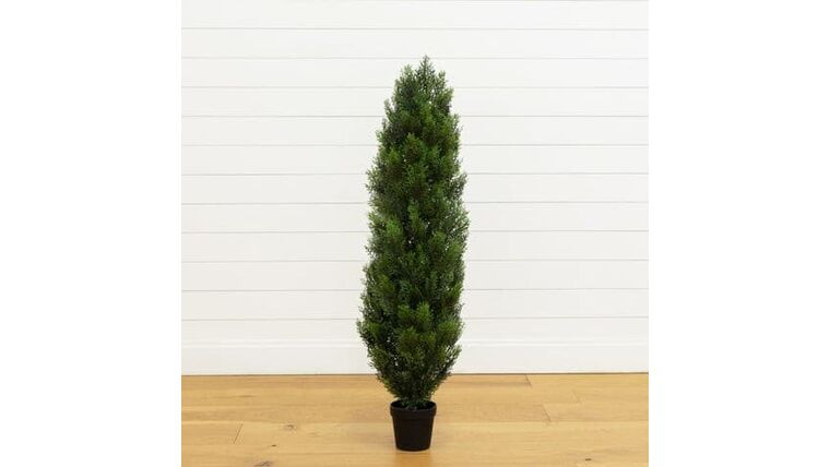 4′ Cedar Tree Silk Tree (Indoor/Outdoor) | Rental