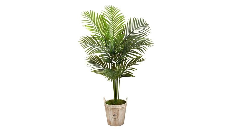 5’ Paradise Palm Artificial Tree in Farmhouse Planter | Rental 5’ Paradise Palm Artificial Tree in Farmhouse Planter | Rental