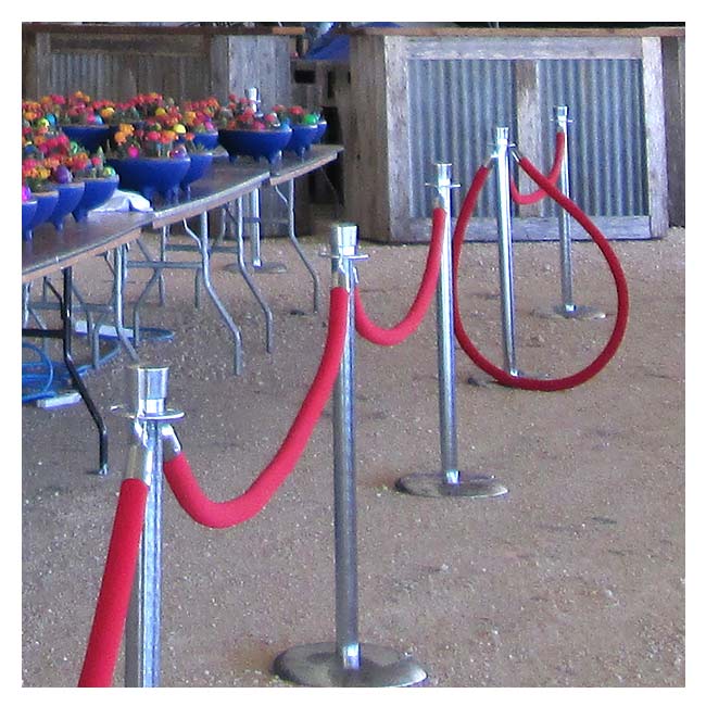 Stanchions Velvet Rope | Rental